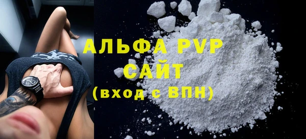 скорость Болотное