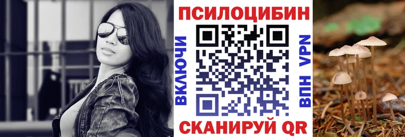 где можно купить Куйбышев Галлюциногенные грибы GOLDEN TEACHER